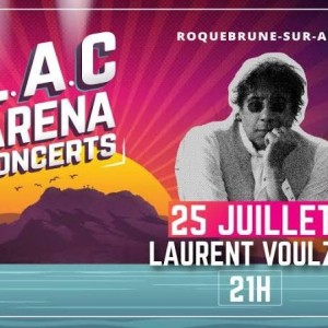 LAURENT VOULZY - EN CONCERT