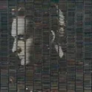 Stephan Eicher - Sauvage Continent