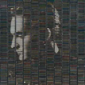 Stephan Eicher - Sauvage Continent