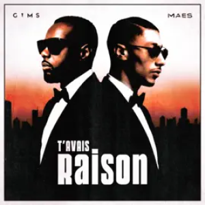 Gims - T'avais raison (feat Maes)